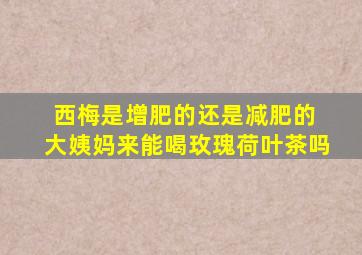 西梅是增肥的还是减肥的 大姨妈来能喝玫瑰荷叶茶吗